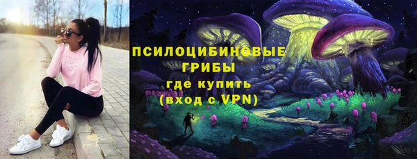 ПСИЛОЦИБИНОВЫЕ ГРИБЫ Кинешма