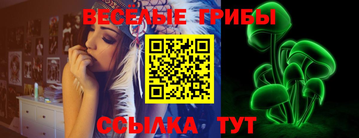 Псилоцибиновые грибы Psilocybe  Вход с VPN  Псилоцибиновые грибы GOLDEN TEACHER  Лесосибирск 